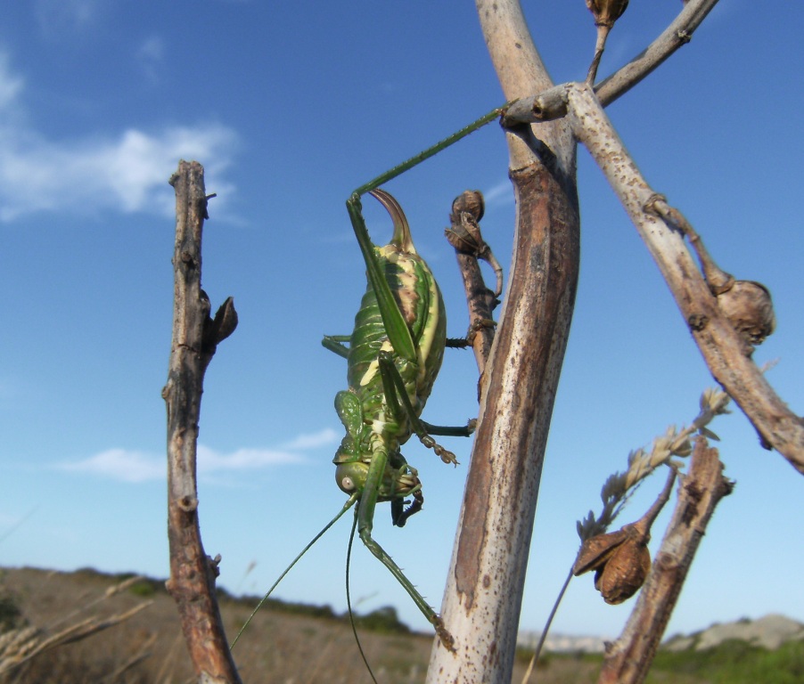 ?? che fine ha fatto la foto di ieri??